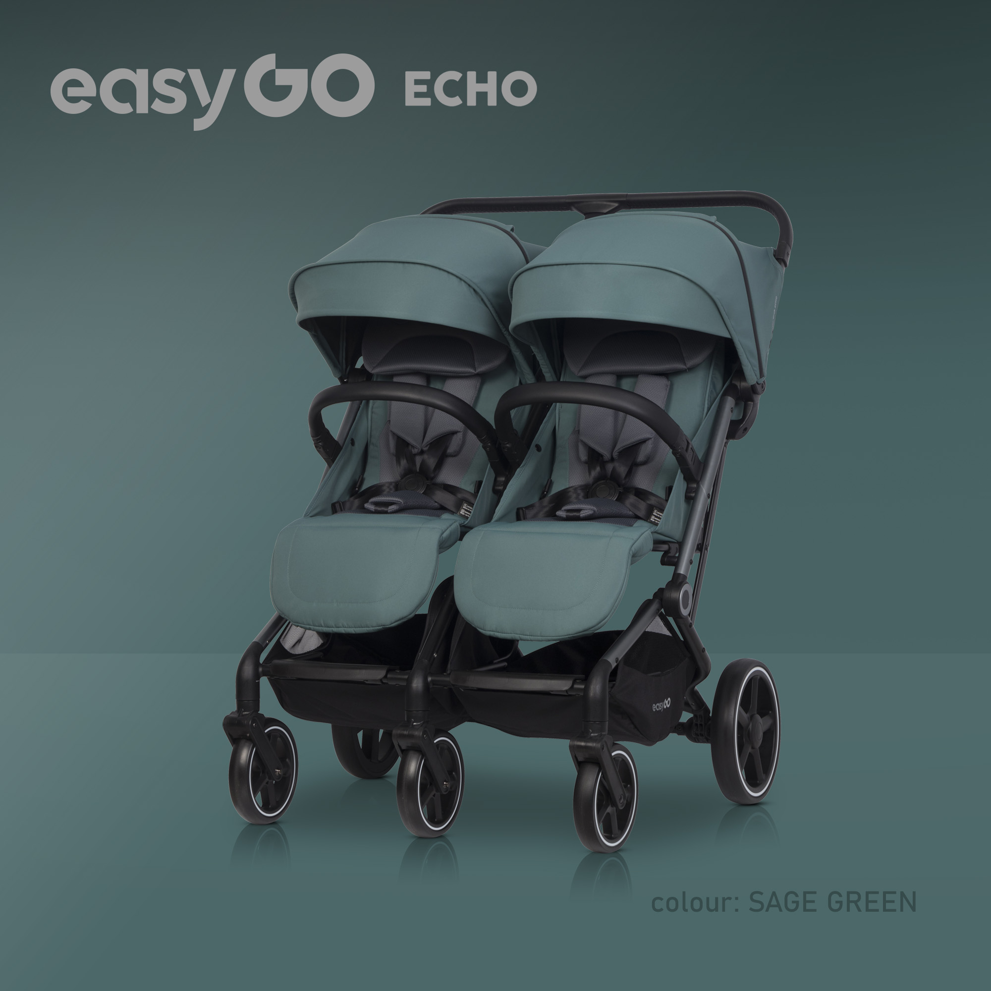 echo-sage-green